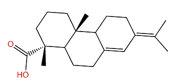 8(14),13(15)-Abietadien-18-oic acid